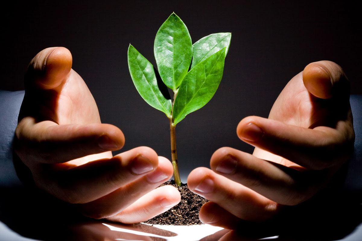 Five of the biggest VC firms investing in blockchain