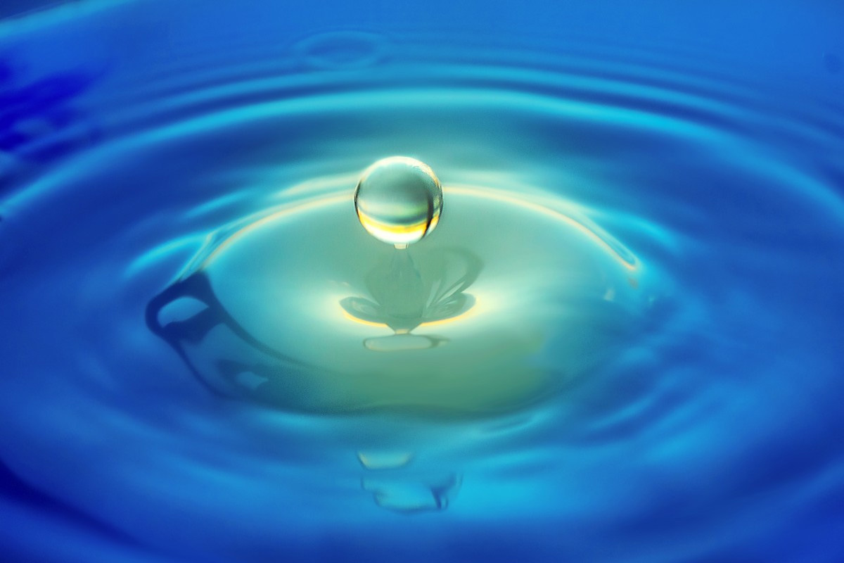 Ripple, xrp