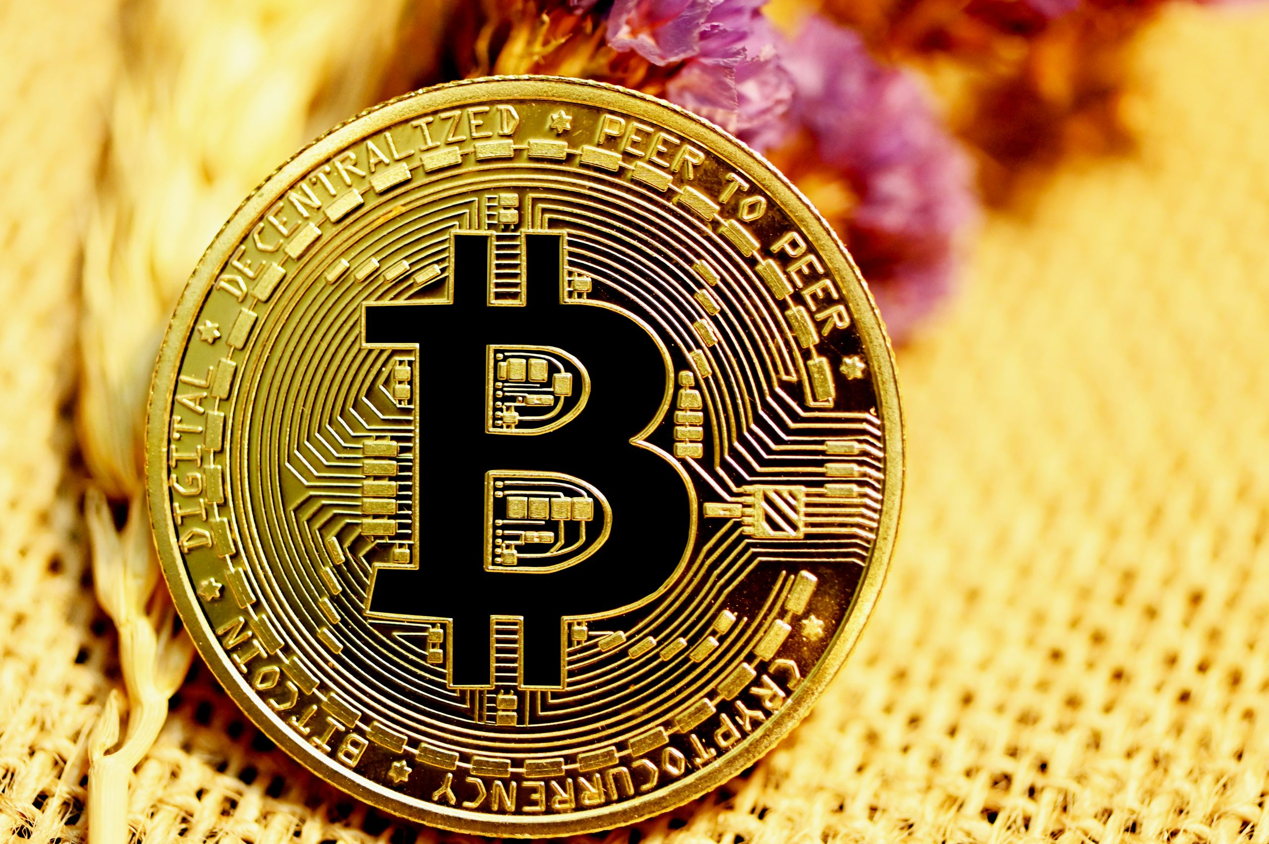 Citrea Secures $2.7M Seed Funding for Bitcoin ZK-rollup