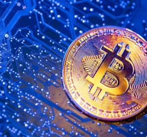 U.S. Government Moves $606,000 in Bitfinex-Linked Bitcoin to Coinbase