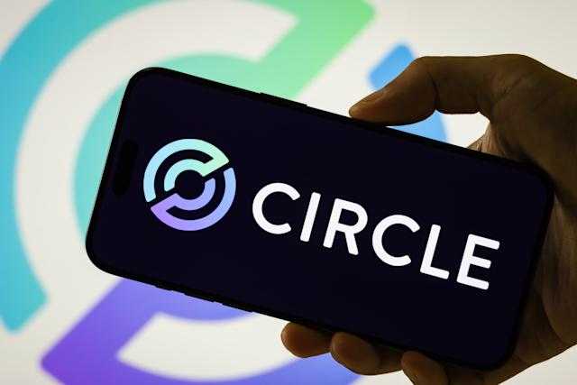 Circle Drops 15% After Analyst Downgrade